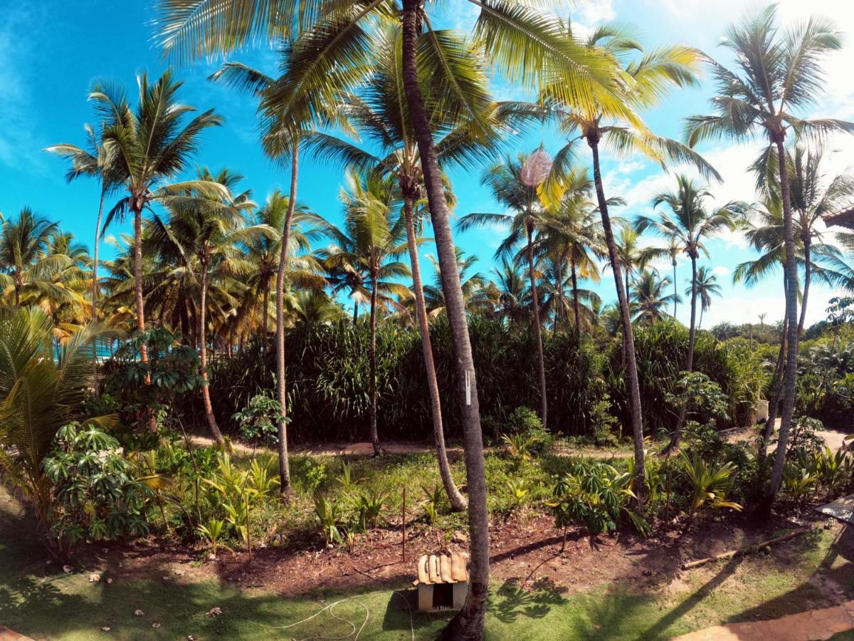 Bangalô Patuá Barra Grande (Bahia) Exterior foto